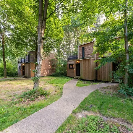 Forest-view