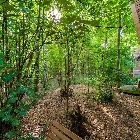 Forest-view